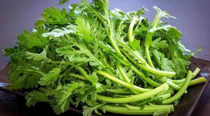 The Unassuming Weed: A Foraged Delicacy with Aristocratic Appeal and Health Benefits