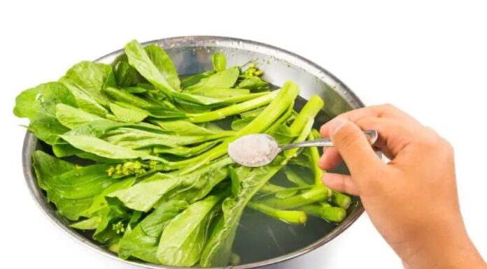 The Ultimate Guide to Washing Vegetables: Beyond Salt Water Soaks