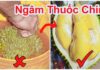 “The Ultimate Guide to Telling the Difference Between Tree-Ripened and Chemically Ripened Durian”