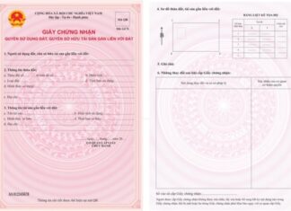 8 Instances When You Absolutely Must Switch to the New Land Use Rights Certificate with a QR Code by December 31st, 2025