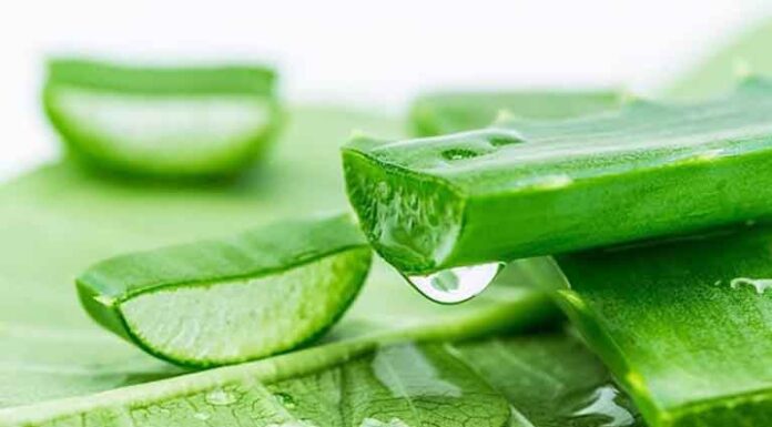 The Ultimate Guide to Creating Your Own Natural Lip Balm