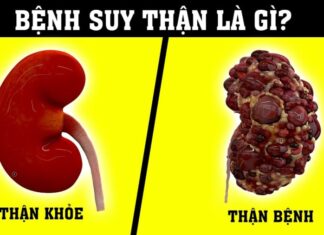 The Two Nightly Habits Before Bed That Are Extremely Damaging to Your Kidneys: Are You Making These Mistakes?