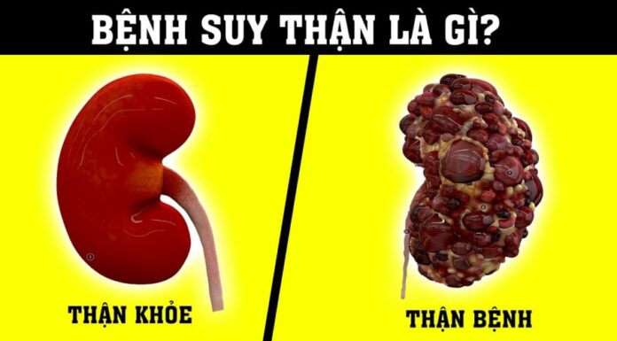 The Two Nightly Habits Before Bed That Are Extremely Damaging to Your Kidneys: Are You Making These Mistakes?