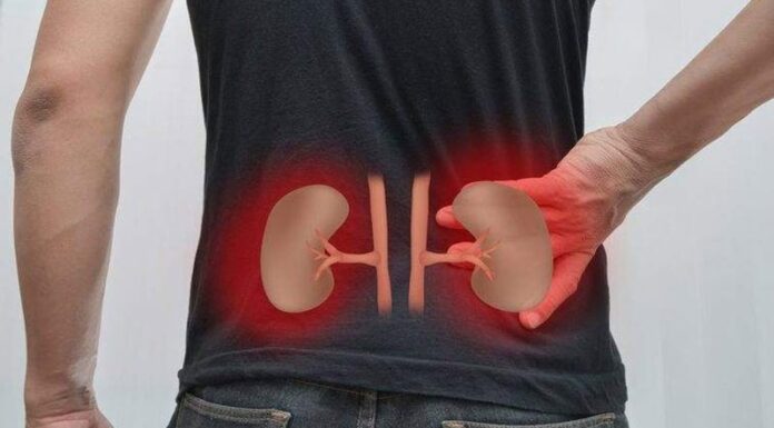 7 Early Signs of Kidney Failure: Are You at Risk?
