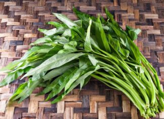 “The Humble Hero of Summer: A Common Vegetable with Royal Detox Powers”