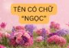 “The Name ‘Ngoc’ Holds a Special Meaning, and Many Are Unaware”