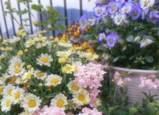 The Luckiest Birth Month: Child Prodigy, Adult Success and Wealth, a Destiny Filled with Gold