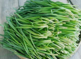 The Ultimate Egg-cellent Dish: A Leafy Twist on a Classic