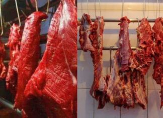 Why Do Humans Primarily Eat Herbivorous Meat Over Carnivorous Meat?