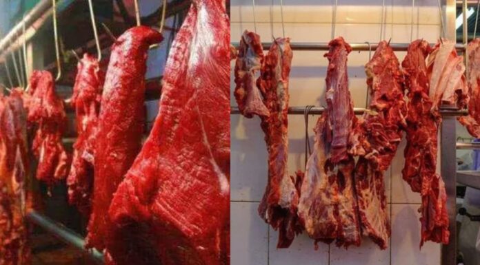 Why Do Humans Primarily Eat Herbivorous Meat Over Carnivorous Meat?