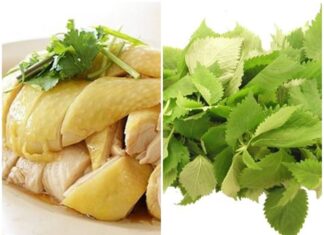 Why You Shouldn’t Eat Basil When Enjoying Chicken