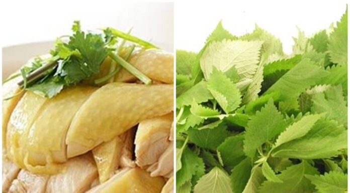 Why You Shouldn’t Eat Basil When Enjoying Chicken