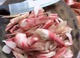 The Ultimate Mountain Delicacy: Discover the Unique Taste of Upcycled Treats