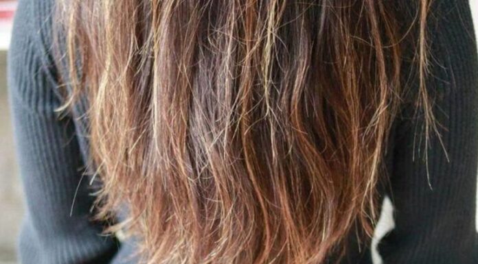 “Is It a Hair Wash, Conditioner, or Trim? The Ultimate Guide to Treating Dry, Frizzy, and Damaged Hair”