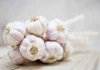 Don’t Buy These Four Garlic Bulbs: A Warning to All Shoppers!