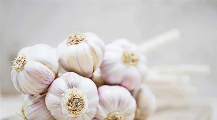 Don’t Buy These Four Garlic Bulbs: A Warning to All Shoppers!