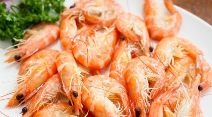 3 Mistakes That Will Rob You of Shrimp’s Nutrition: Especially This Second One