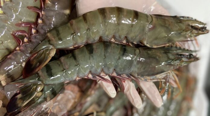 The Perfect Boil: A Tasty Twist on Shrimp