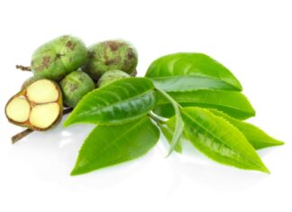 Unlock the Secrets to Revitalizing Your Skin: A Green Tea Makeover for a Youthful Glow