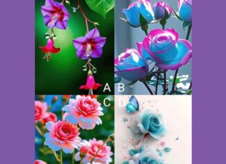 The Power of Intelligence: Unraveling the Challenges of Being Perceptive