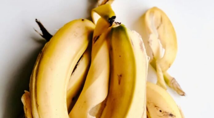 “4 Fruit Peel Skin Care Recipes for Hydration, Exfoliation, and Soothing”