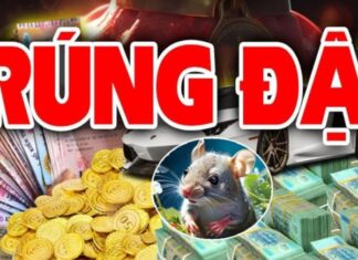 Whoever Seizes the Opportunity: 3 Years of Unbound Luck, Red-Hot Fortune, and Exponential Wealth and Success