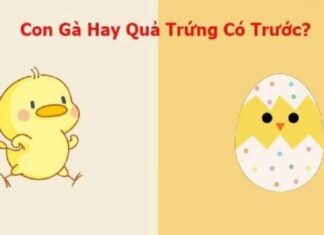 “The Age-Old Question: Which Came First, the Chicken or the Egg?”