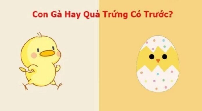 “The Age-Old Question: Which Came First, the Chicken or the Egg?”