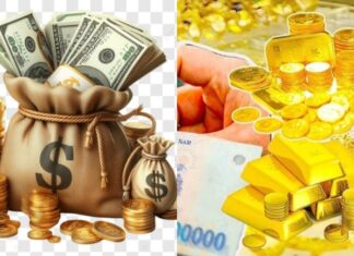 Ageless Warriors: 4 Zodiac Signs to Attract Wealth in June’s End and Beyond