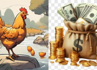 3 Zodiac Animals That Struggle Financially in Early June, But Hit the Jackpot by Month-End, Becoming Instant Millionaires