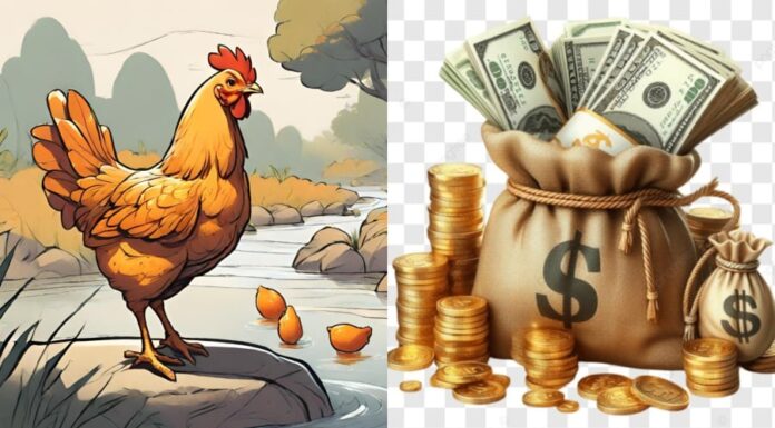 3 Zodiac Animals That Struggle Financially in Early June, But Hit the Jackpot by Month-End, Becoming Instant Millionaires