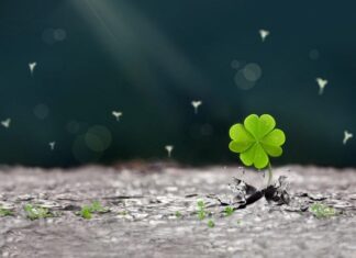 The Fortunate Four: An Astrological Insight into a Life of Prosperity