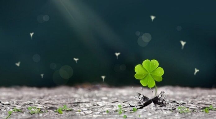 The Fortunate Four: An Astrological Insight into a Life of Prosperity