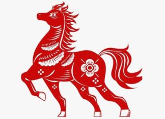 4 Zodiac Animals With Wealth and Career Opportunities in July, August, and a Bright September