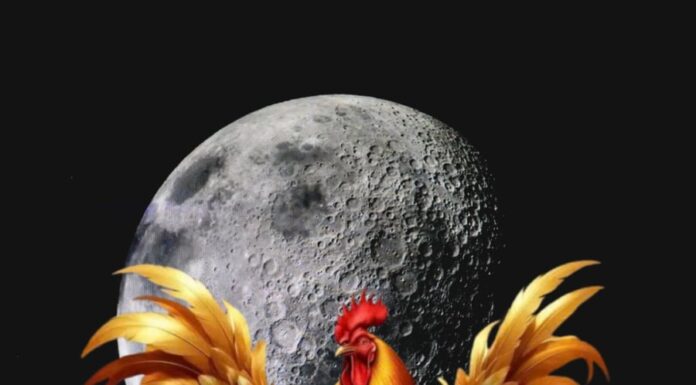 “4 Zodiac Animals on a Lucky Streak: Abundance of Wealth and Fortunes from Now Until the 15th of June”