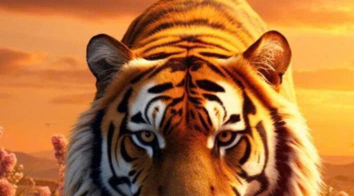 The Lucky Three: Unlocking Heavenly Blessings of Wealth, Fortune, and Fame