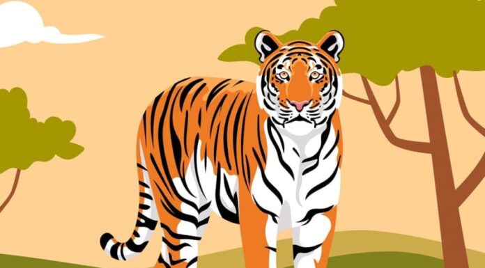 Wealth at Your Doorstep: The Next 5 Days of Abundance, No Struggle Required