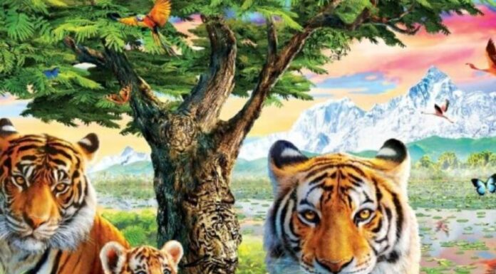 The Golden 100 Days of Abundance and Prosperity: A Journey to Overflowing Wealth and Fortune