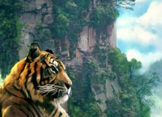 The Golden Touch, 50 Days of Fortune: 3 Years of Prosperity, Abundant Wealth, and Sudden Riches