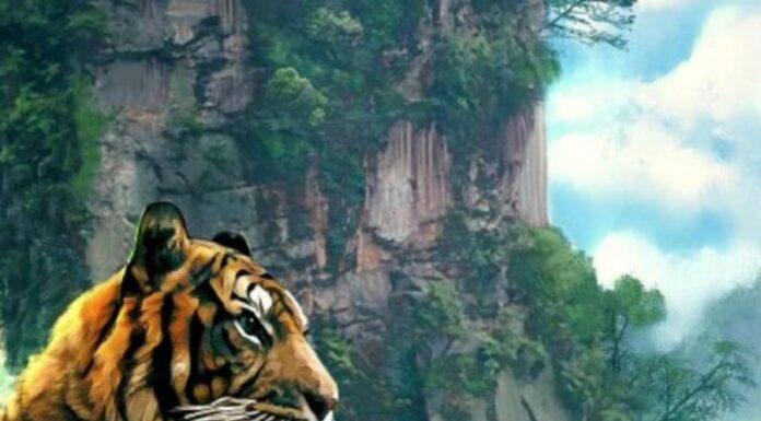 The Golden Touch, 50 Days of Fortune: 3 Years of Prosperity, Abundant Wealth, and Sudden Riches