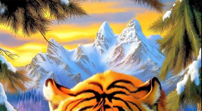 After June 15th: Top 3 Zodiac Signs with Soaring Luck, Prosperity, and Fame, as God of Wealth Bestows Fortune