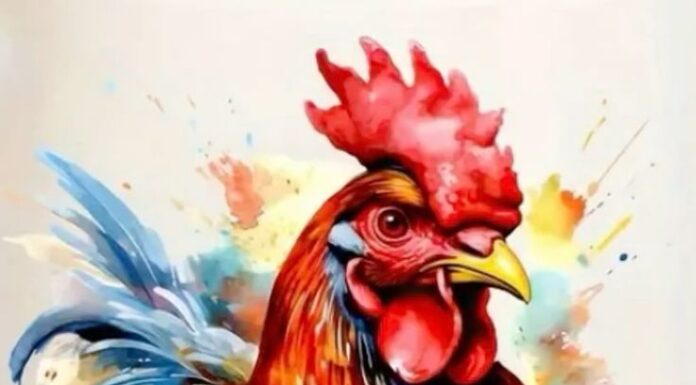 The Luckiest Age: Unlocking a Fortune from June 10 to July 10, Double Your Wealth with Number 2