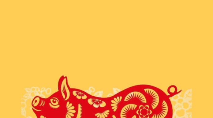 The Lucky Zodiac Trio: Divine Blessings and Abundance from April 1st Onwards