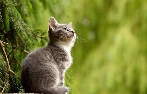 After May 18: A New Beginning, Embrace Abundance with Divine Fortune