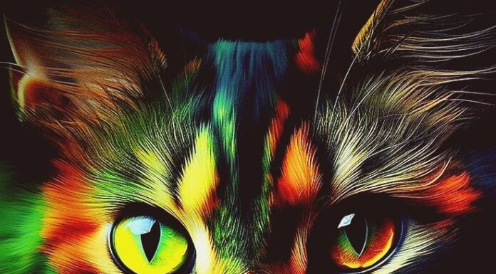 The Luckiest Zodiac Signs: July’s Fortune, August’s Wealth, September’s Peak Fame