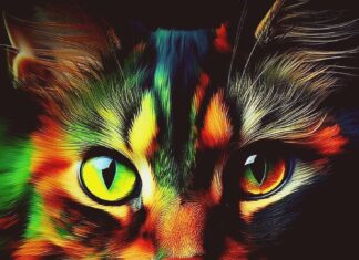 The Ultimate Guide to a Fortunate Life: 4 Steps to a Wealthy Future from 22nd June to 25th July