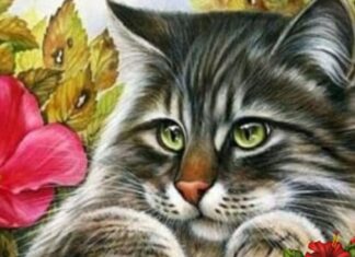 The Lucky Four: Zodiac Women Destined for Wealthy Marriages and a Lifetime of Happiness