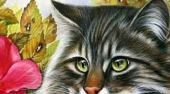 The Lucky Four: Zodiac Women Destined for Wealthy Marriages and a Lifetime of Happiness