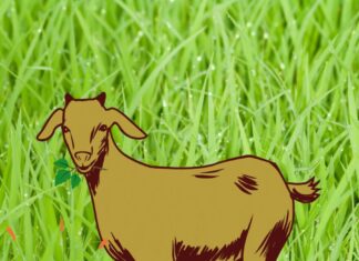 This Weekend (June 7-8): 4 Secrets to Manifest Wealth and Abundance, Ancestral Blessings Included!