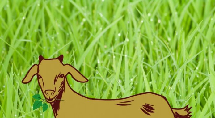 This Weekend (June 7-8): 4 Secrets to Manifest Wealth and Abundance, Ancestral Blessings Included